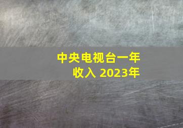 中央电视台一年收入 2023年